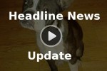 Video: Oasis Headline News – Quick Update 