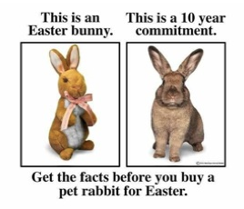 Easter Bunny Commitment