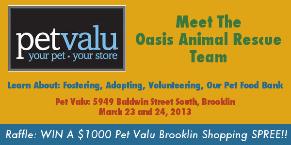 Oasis Fundraiser, Pet Valu Brooklin - Win $1000 Shopping Spree