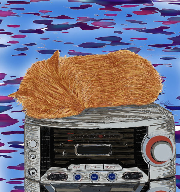 Cat On Radio by artist Diana Jaber to support Oasis Animal Rescue
