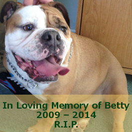 In Loving Memory Of English Bulldog Betty.