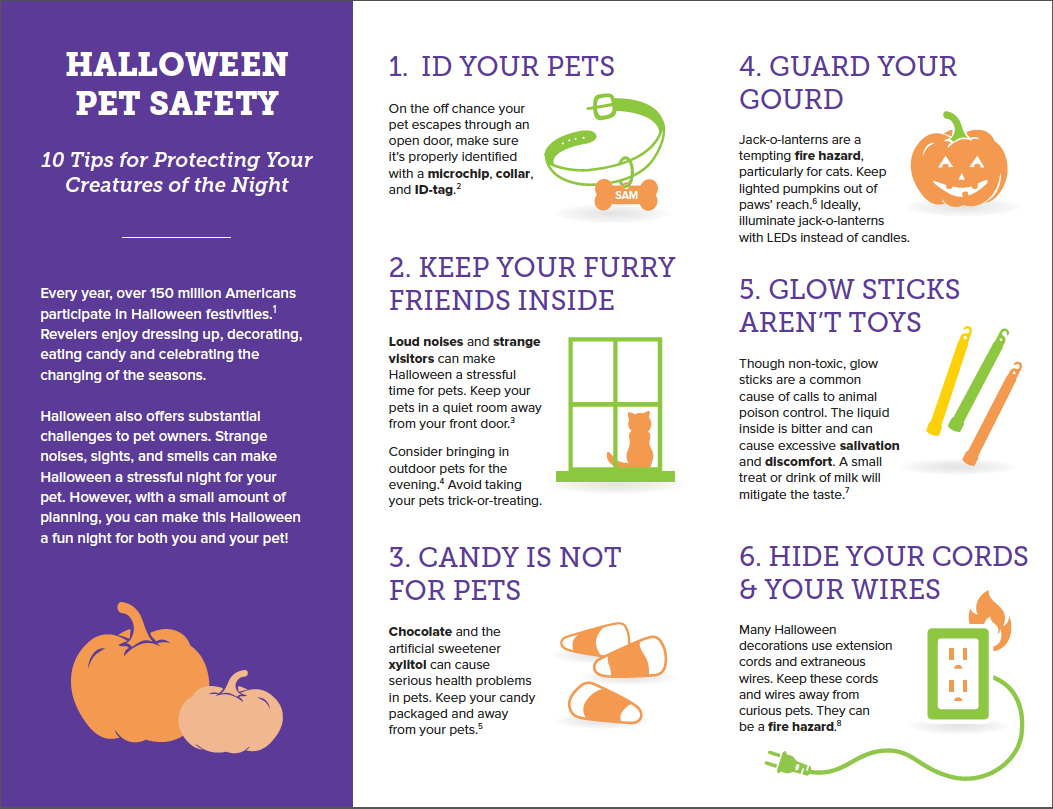 Halloween Pet Safety Guide 2