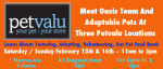 Oasis Team & Adoptable Pets Visit Three Petvalu Locations 