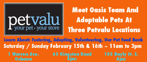Oasis Animal Rescue visits Pet Valu in Oshawa and Ajax
